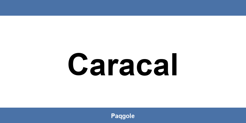 Tot ce trebuie să știi despre sediul GLS din Caracal