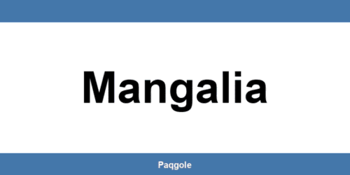 Tot ce trebuie să știi despre sediul GLS din Mangalia